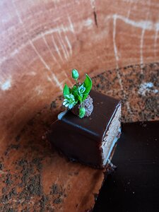 20200312_PORTRAIT_0URST240121372_Pixel3a-JEB